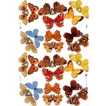 Pretty Butterfly Specimen Scraps ~ England